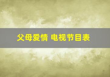 父母爱情 电视节目表